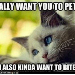 Meet your Posher, Fine Quality Funiture and More.